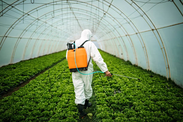 Best Affordable Exterminators  in Catonsville, MD