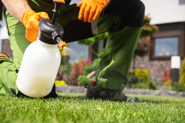 Best Pest Removal Services  in Catonsville, MD