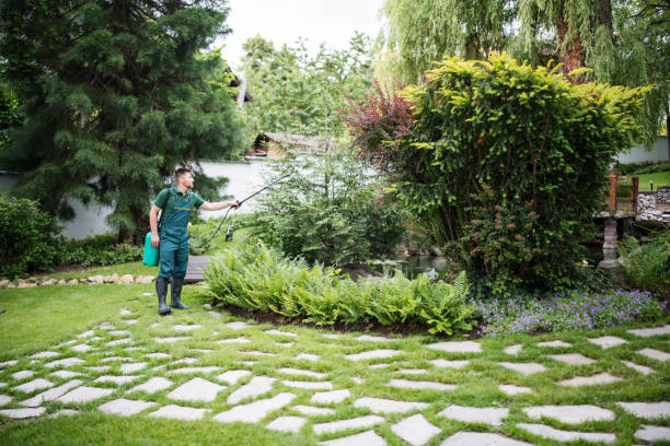 Best Local Pest Control Services  in Catonsville, MD