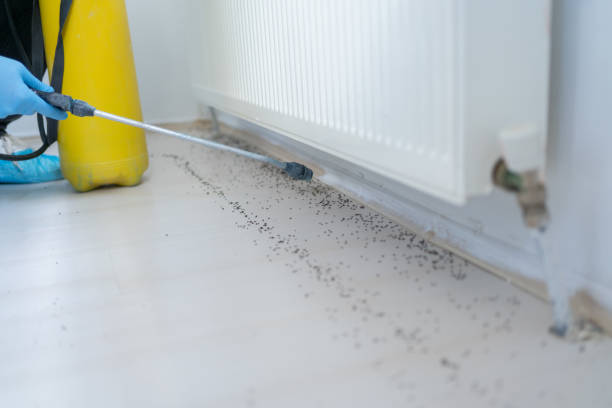 Catonsville, MD Pest Control Company