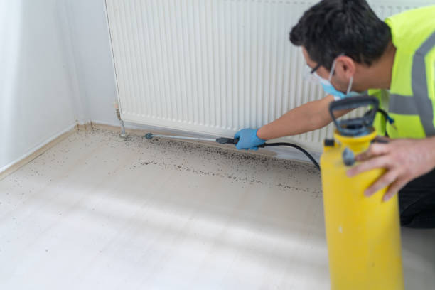 Best Commercial Pest Control Services  in Catonsville, MD